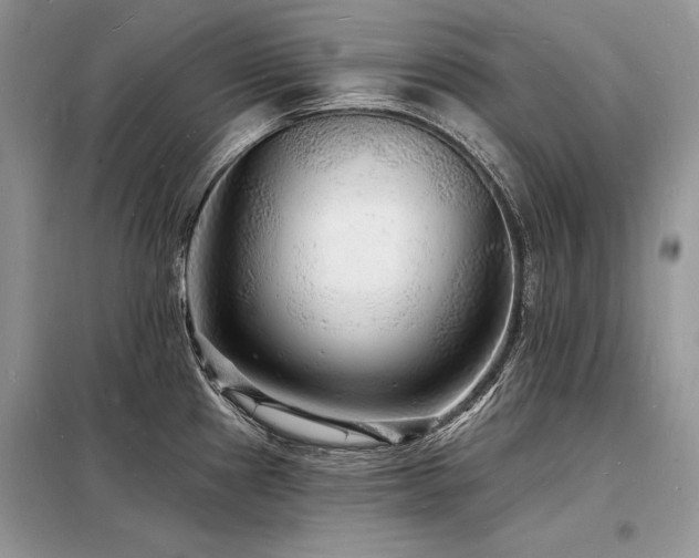 X0000098231241200804241333