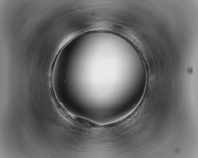 X0000098231242200804241333
