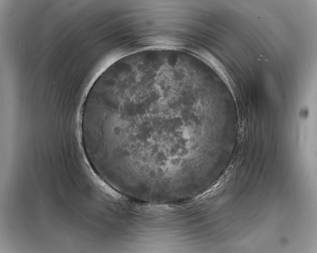 X0000098231243200804241333