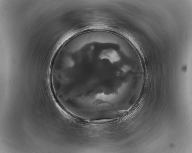 X0000098231245200804241333