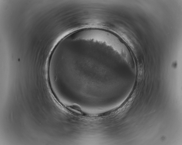 X0000098231246200804241333