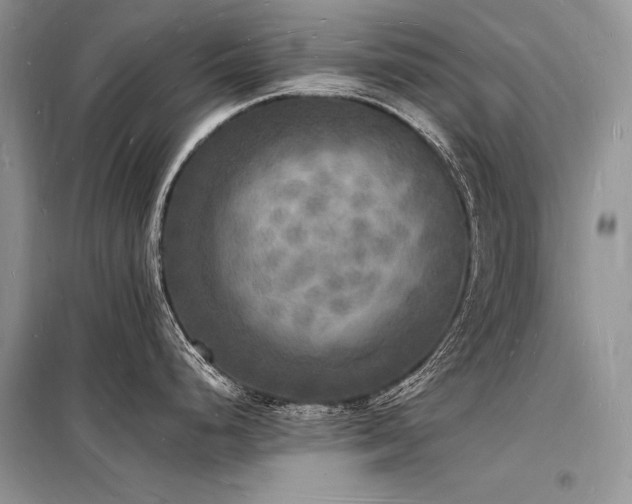 X0000098231248200804241333