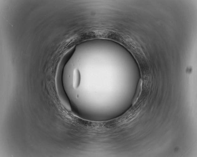 X0000098231249200804241333