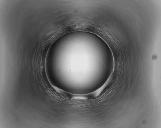X0000098231250200804241333