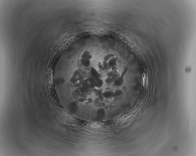 X0000098231251200804241333