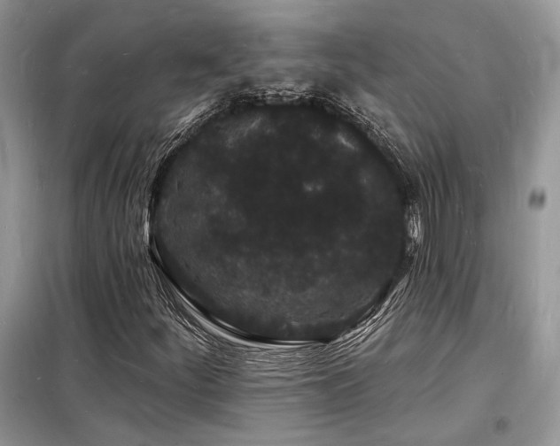 X0000098231252200804241332