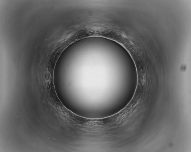 X0000098231253200804241332