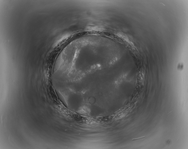 X0000098231254200804241332