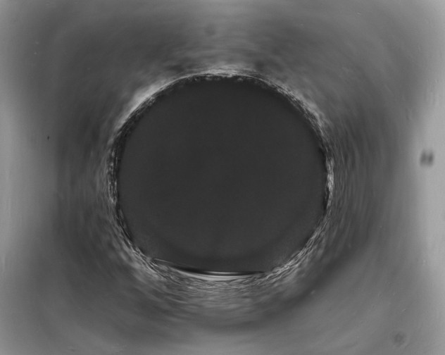 X0000098231256200804241332