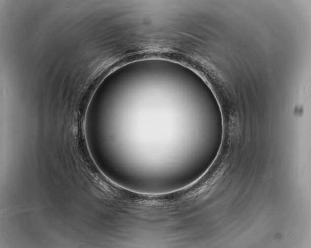 X0000098231257200804241332