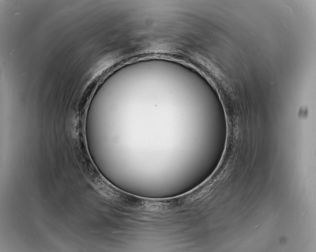 X0000098231258200804241332