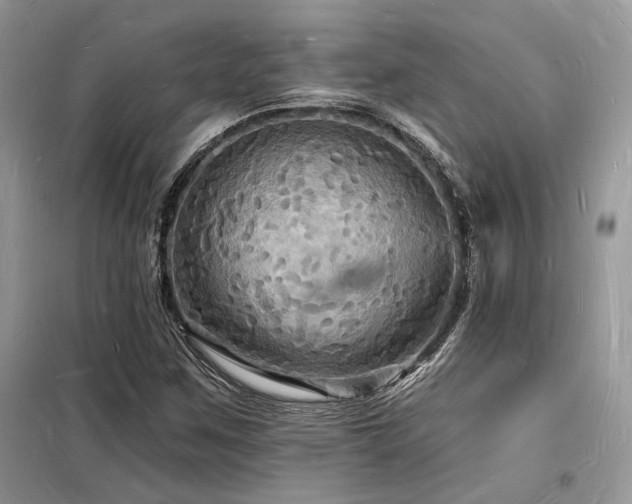 X0000098231259200804241332