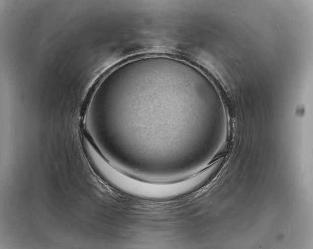 X0000098231260200804241332