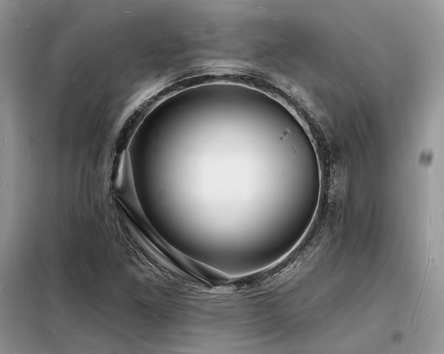 X0000098231261200804241332