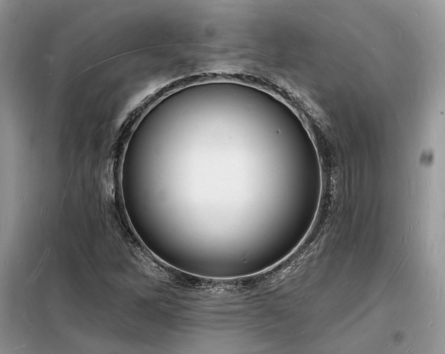 X0000098231262200804241332