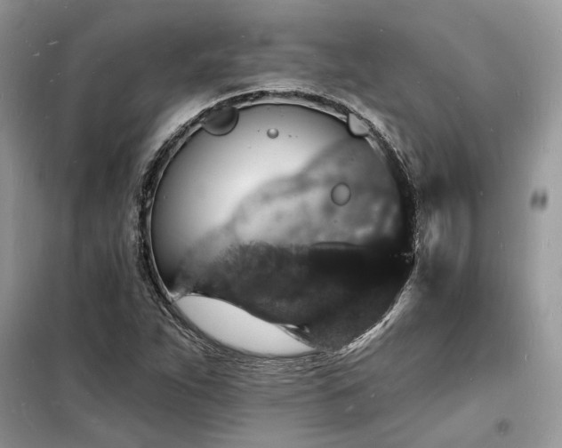 X0000098231263200804241332