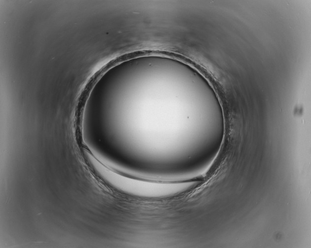X0000098231264200804241332