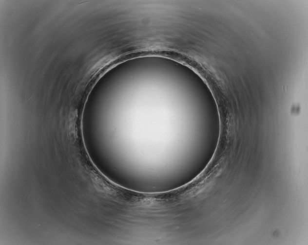 X0000098231265200804241332