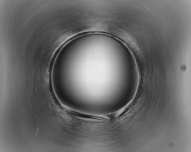 X0000098231268200804241332