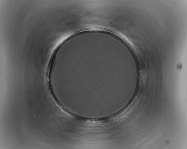 X0000098231269200804241332
