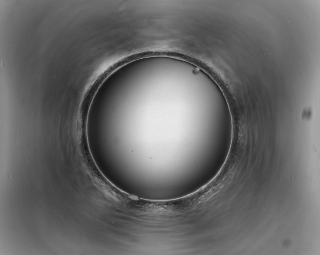 X0000098231270200804241332
