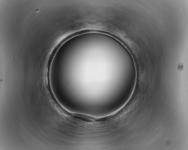 X0000098231272200804241332