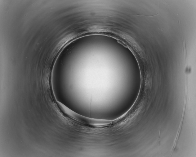 X0000098231273200804241332