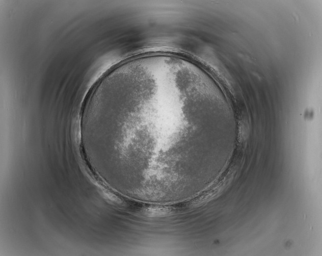 X0000098231274200804241332