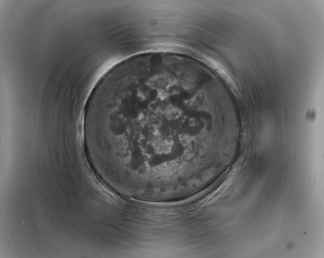 X0000098231275200804241332