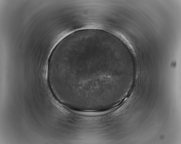 X0000098231276200804241332