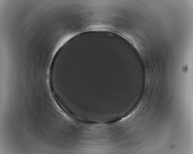 X0000098231277200804241332