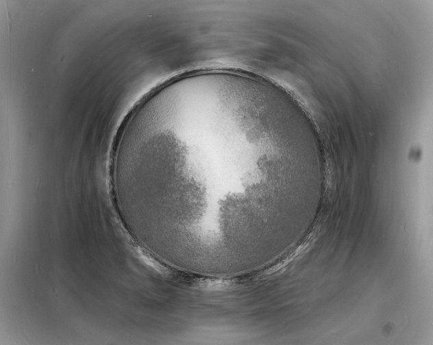 X0000098231278200804241332