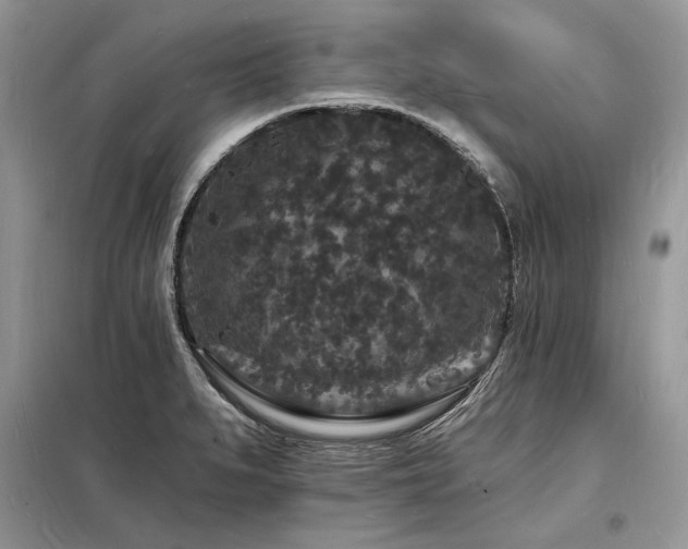 X0000098231279200804241332