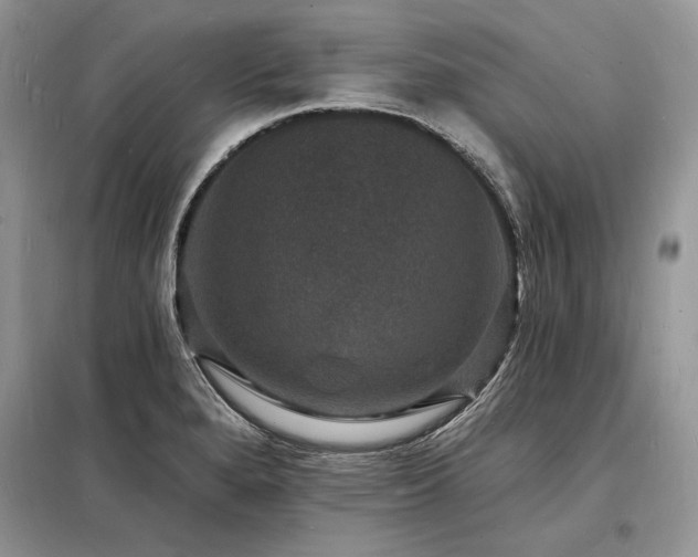 X0000098231280200804241332