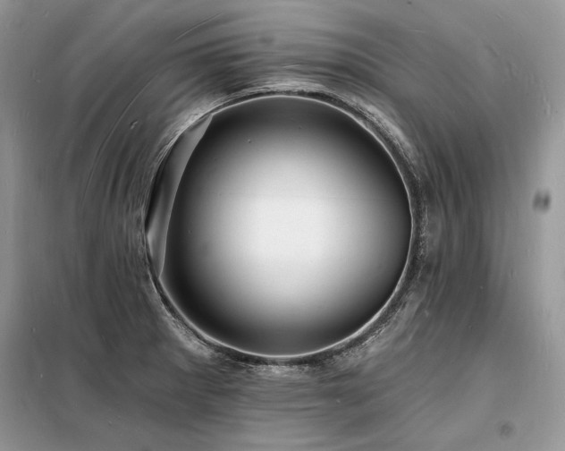 X0000098231281200804241332