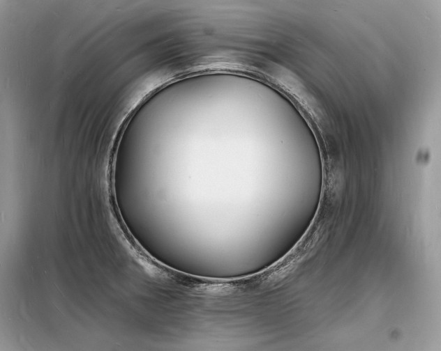 X0000098231282200804241332