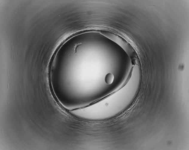 X0000098231283200804241332