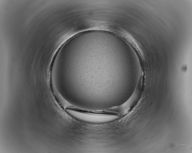 X0000098231284200804241332