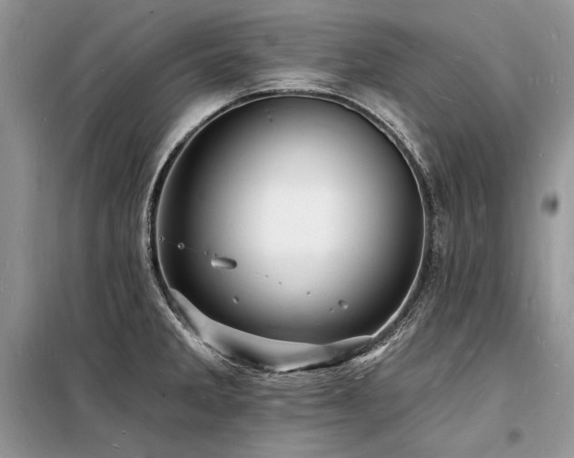 X0000098231285200804241332