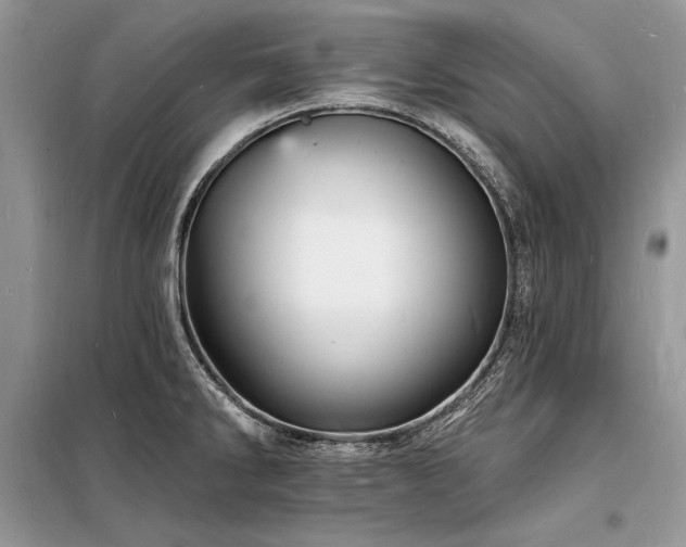 X0000098231286200804241332