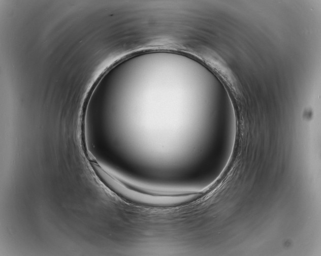 X0000098231288200804241332