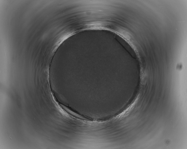 X0000098231289200804241332