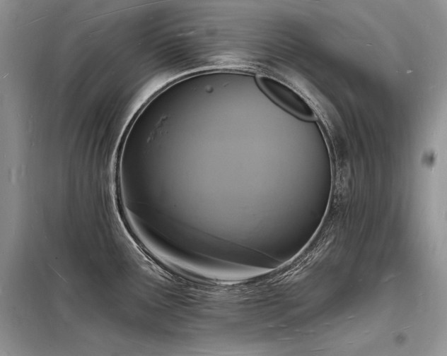 X0000098231291200804241332