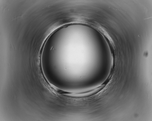 X0000098231292200804241332