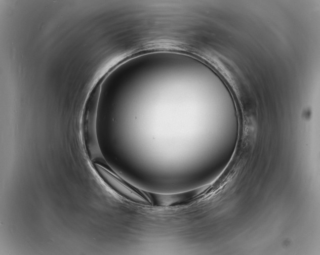 X0000098231293200804241332