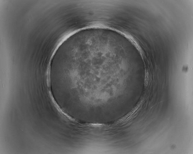 X0000098231295200804241332