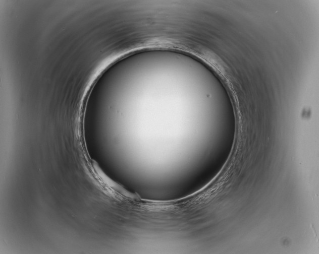 X0000098231296200804241332