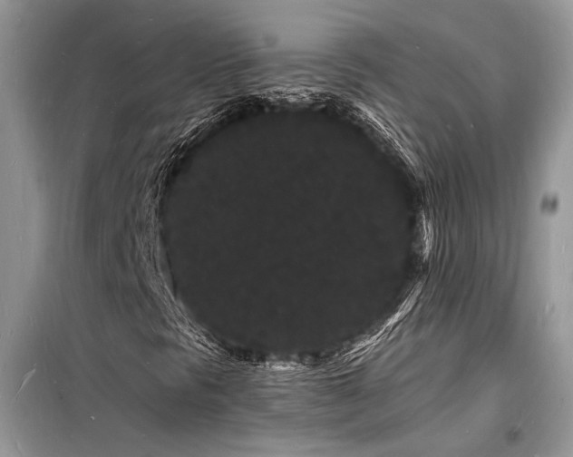 X0000098231297200804241331