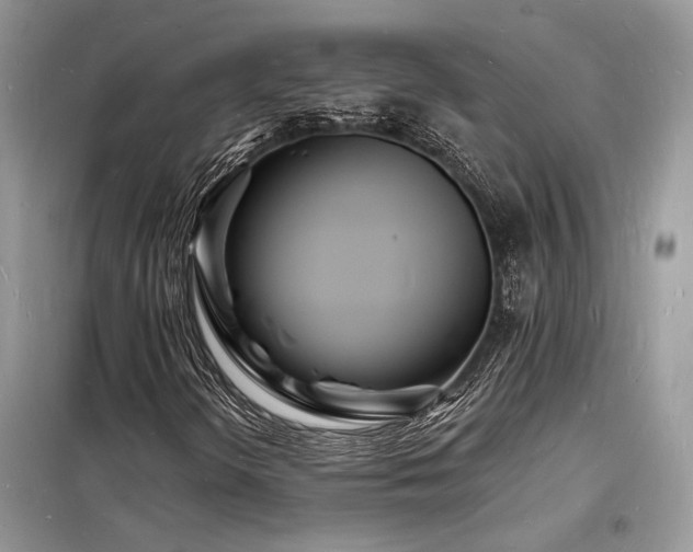 X0000098231298200804241331