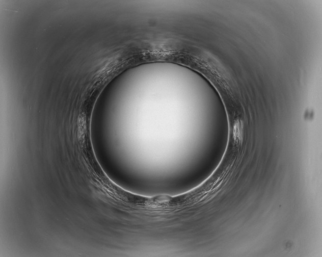 X0000098231299200804241331
